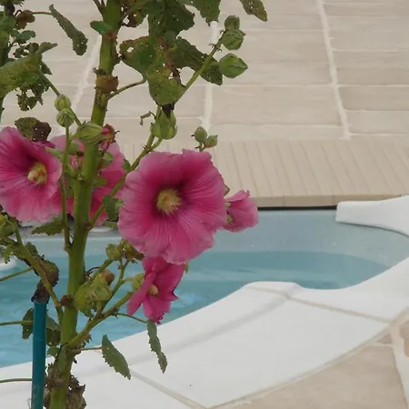 Maison Charmante à Bussac-forêt Avec Piscine Partagée