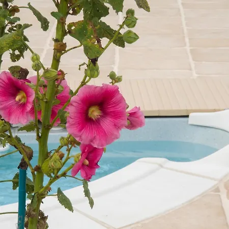 Maison Charmante à Bussac-forêt Avec Piscine Partagée Сasa de vacaciones